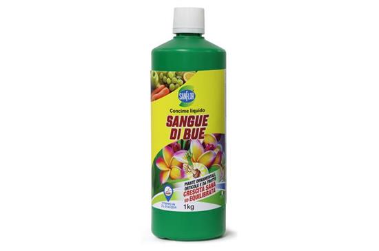 CONCIMI SANGUE DI BUE KG.1